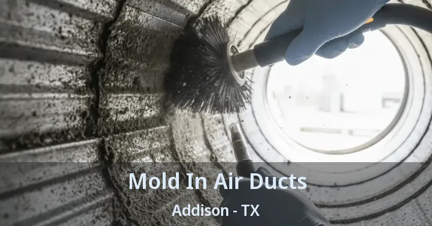 Mold In Air Ducts Addison - TX
