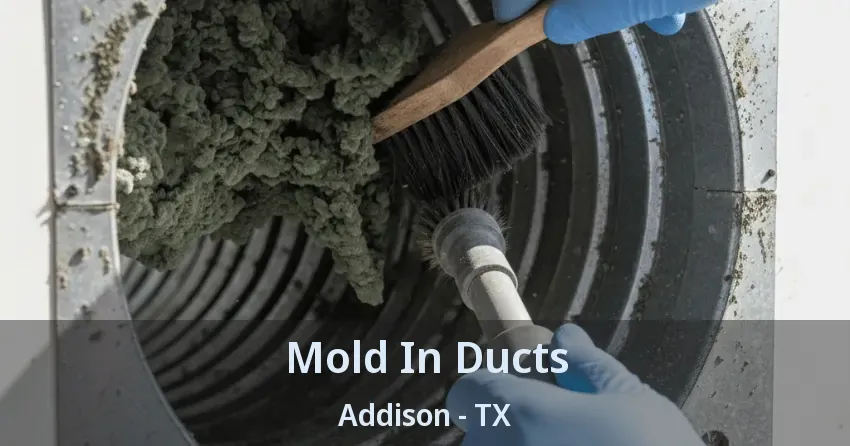 Mold In Ducts Addison - TX
