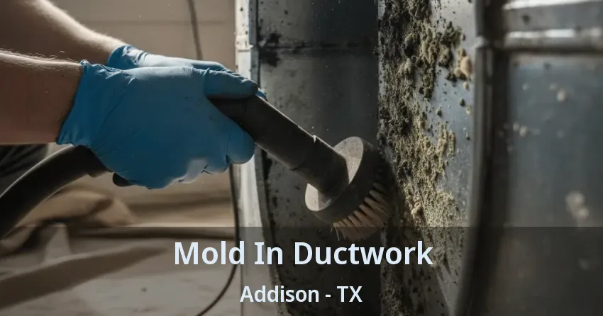 Mold In Ductwork Addison - TX